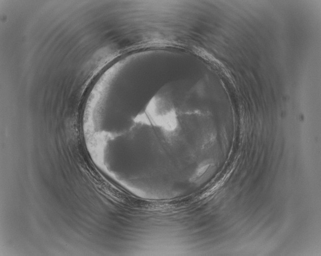 X0000068771170200605191641