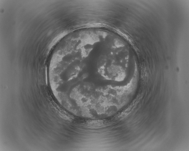 X0000068771171200605191641