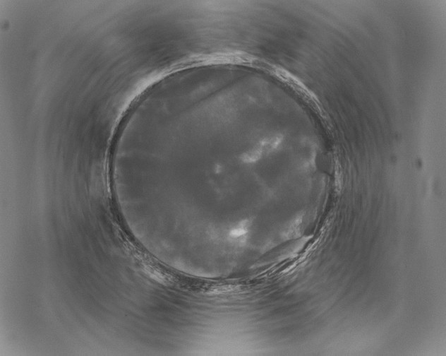 X0000068771174200605191641