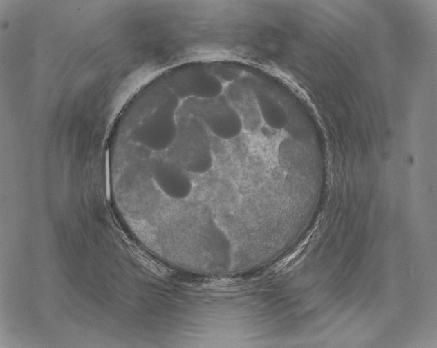 X0000068771175200605191641