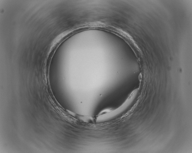 X0000068771176200605191641