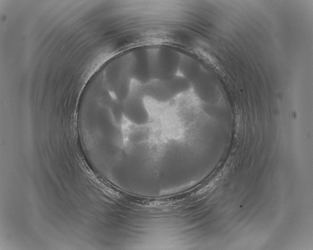 X0000068771178200605191641