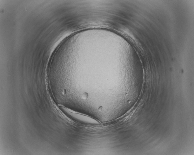 X0000068771182200605191641