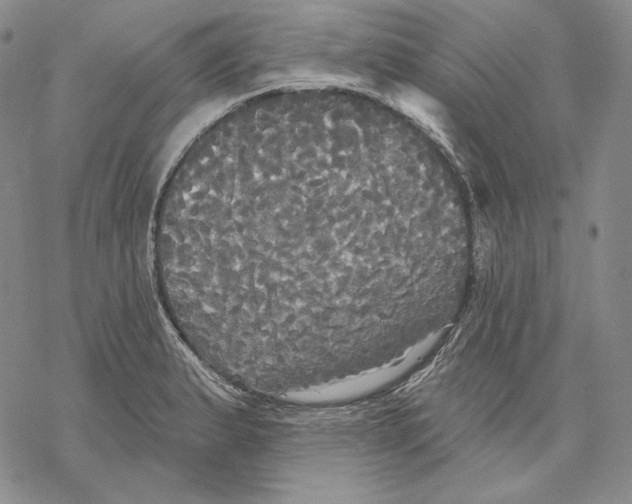 X0000068771183200605191641