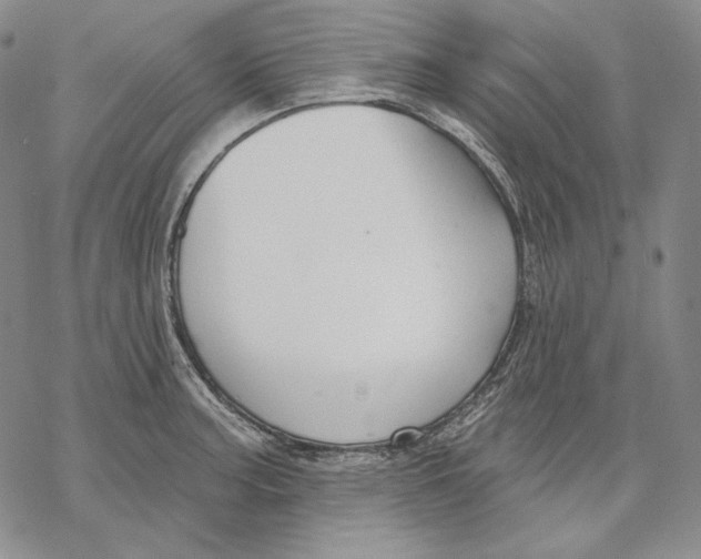 X0000068771187200605191640