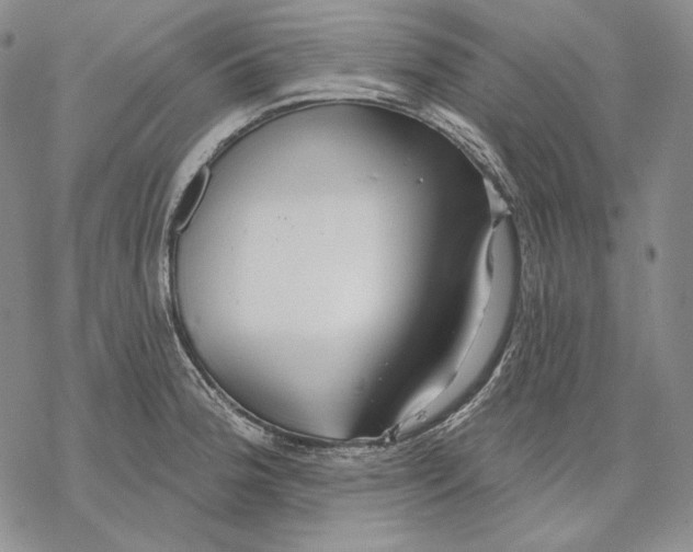 X0000068771188200605191640