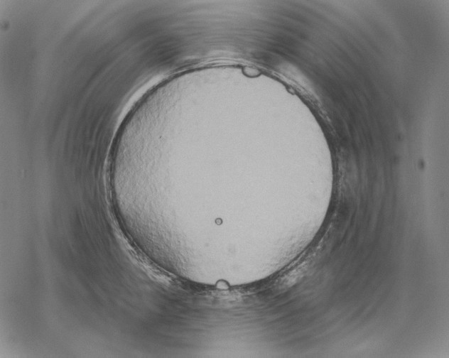 X0000068771190200605191640