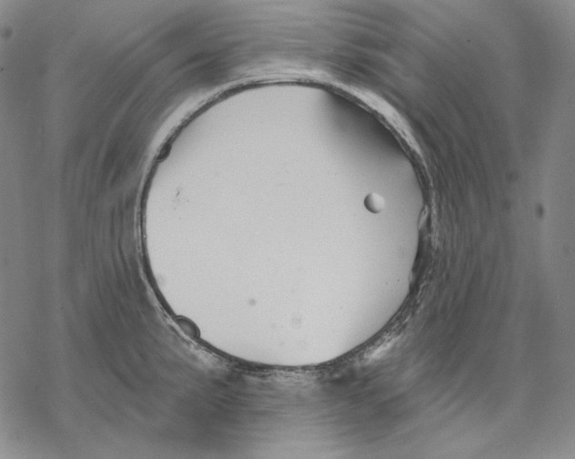 X0000068771191200605191640