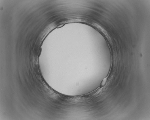 X0000068771193200605191640