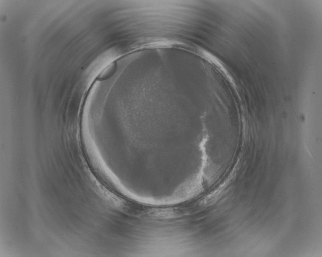 X0000068771194200605191640