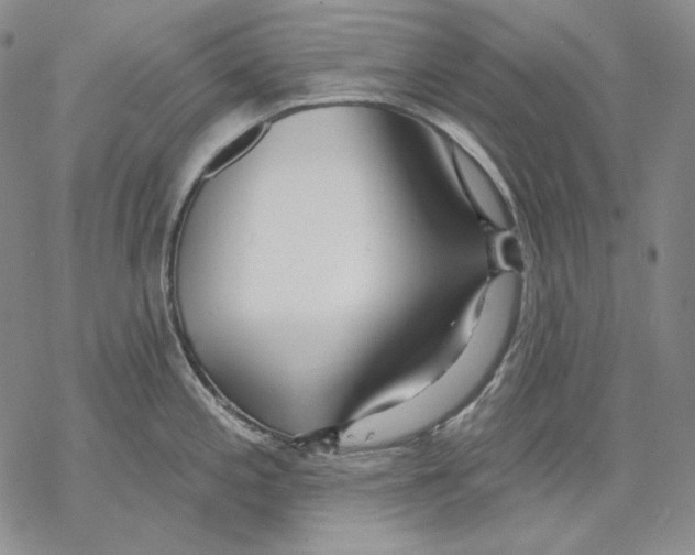 X0000068771197200605191640