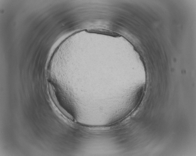 X0000068771200200605191640