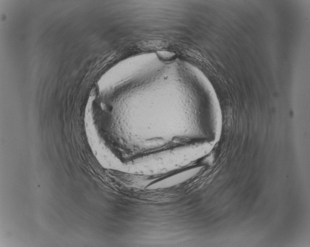 X0000068771201200605191639