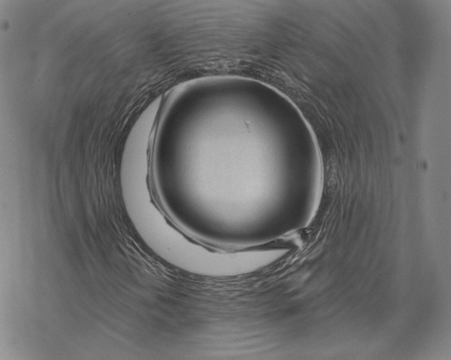 X0000068771202200605191639