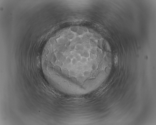 X0000068771204200605191640