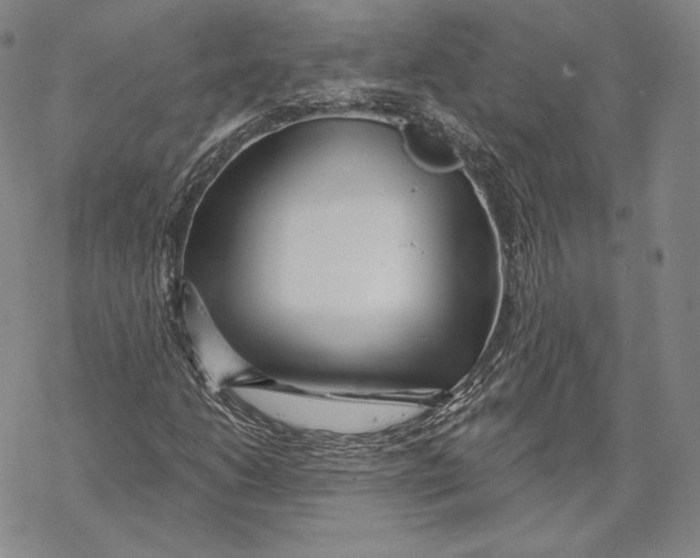 X0000068771206200605191640