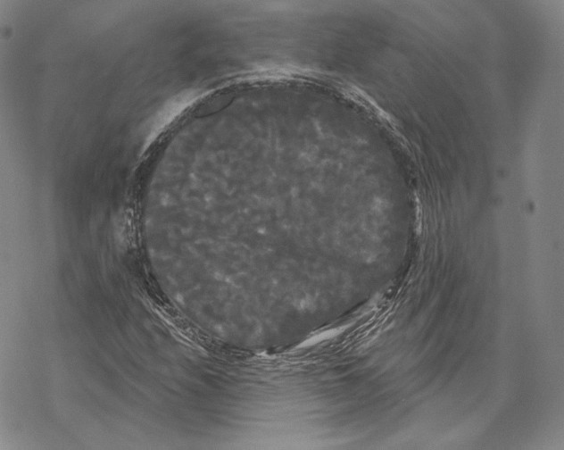 X0000068771208200605191640