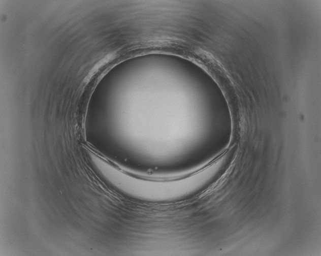 X0000068771210200605191640