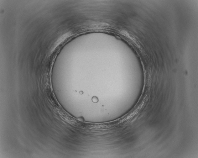 X0000068771211200605191640