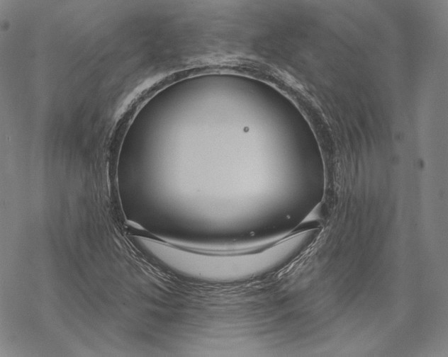 X0000068771214200605191640