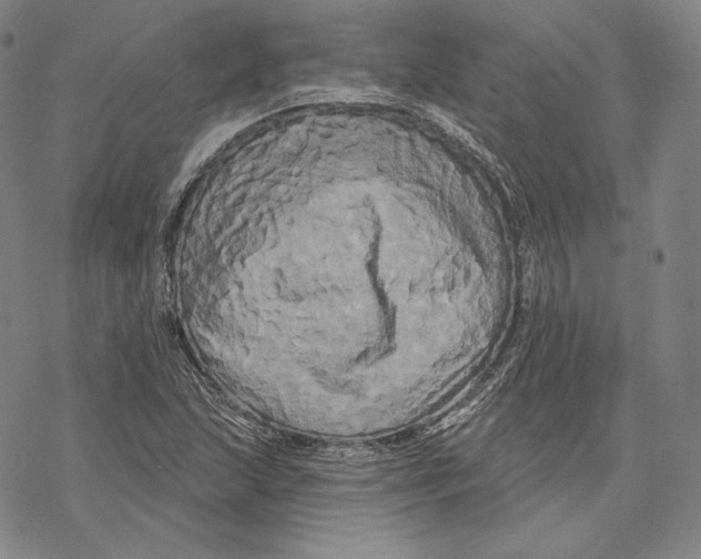 X0000068771215200605191640