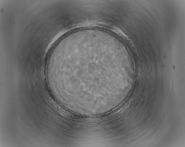 X0000068771216200605191640