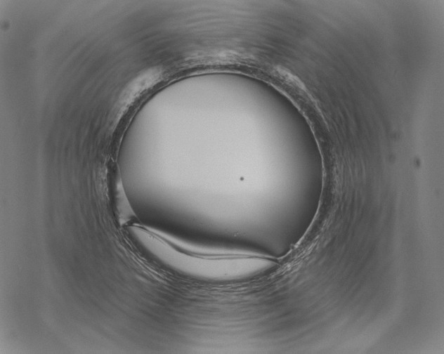 X0000068771218200605191640