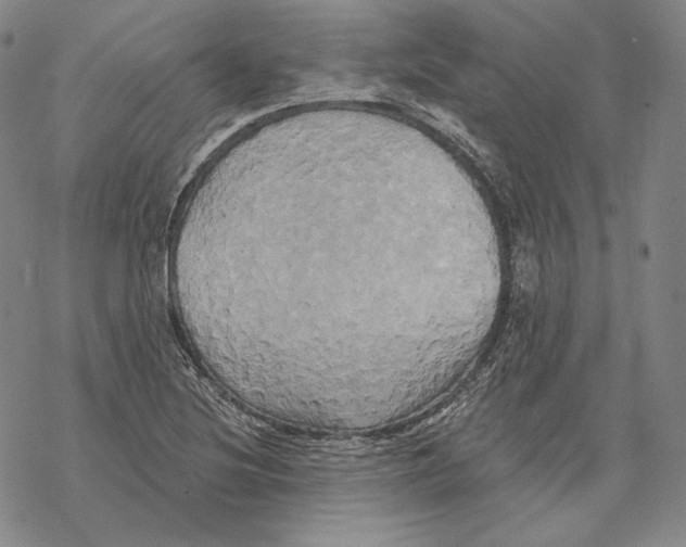 X0000068771220200605191640