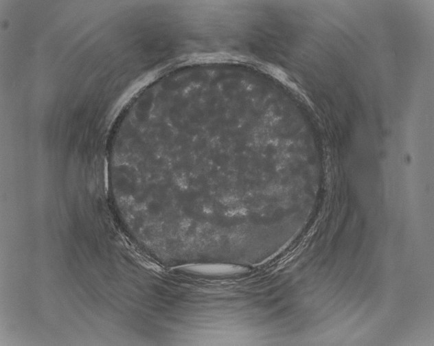 X0000068771221200605191640