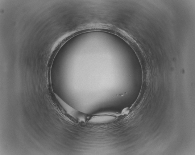 X0000068771222200605191640