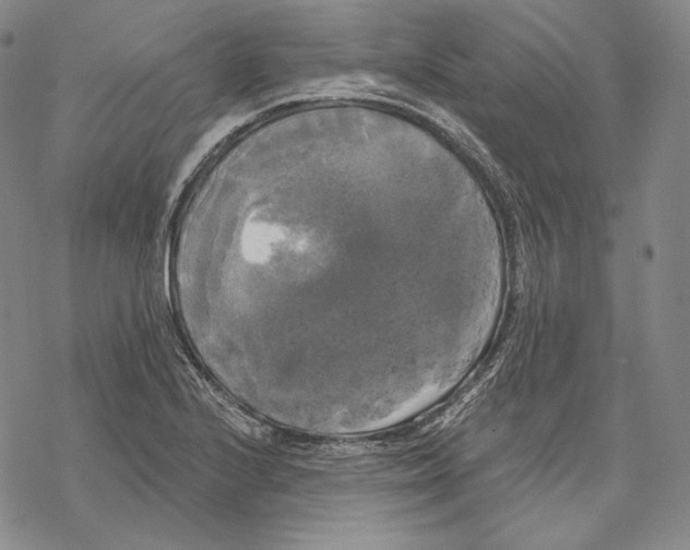 X0000068771224200605191640