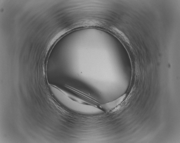 X0000068771226200605191640