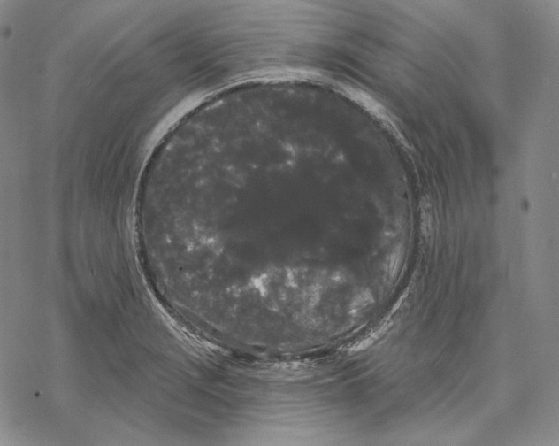 X0000068771229200605191640