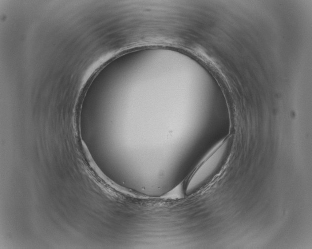 X0000068771230200605191640