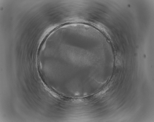 X0000068771231200605191640