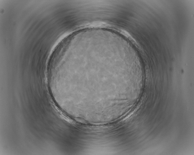 X0000068771232200605191640