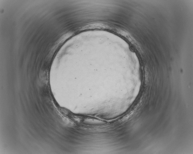 X0000068771233200605191640