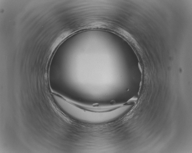 X0000068771234200605191640