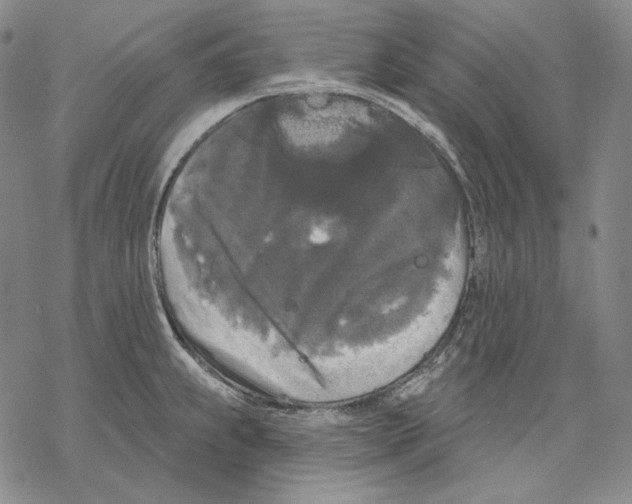 X0000068771239200605191640