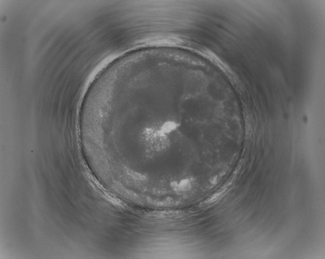 X0000068771240200605191640