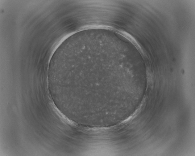 X0000068771244200605191640