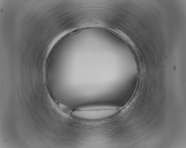 X0000068771246200605191640