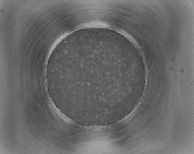 X0000068771248200605191640