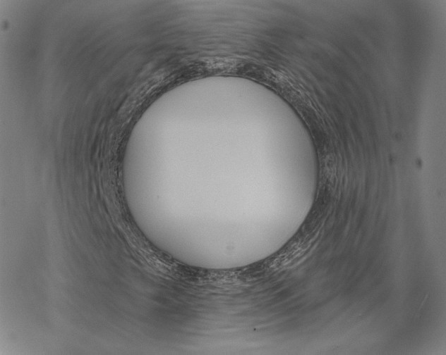 X0000068771249200605191639