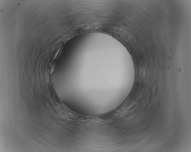 X0000068771250200605191639