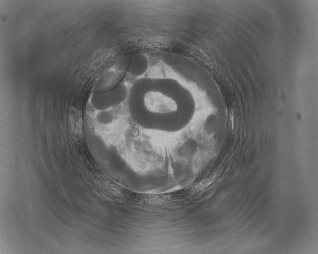 X0000068771251200605191639