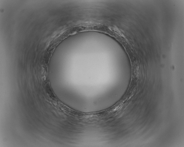 X0000068771253200605191639