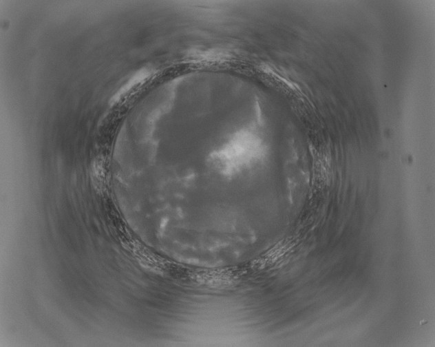 X0000068771254200605191639