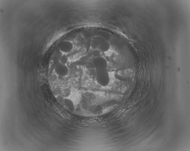 X0000068771255200605191639