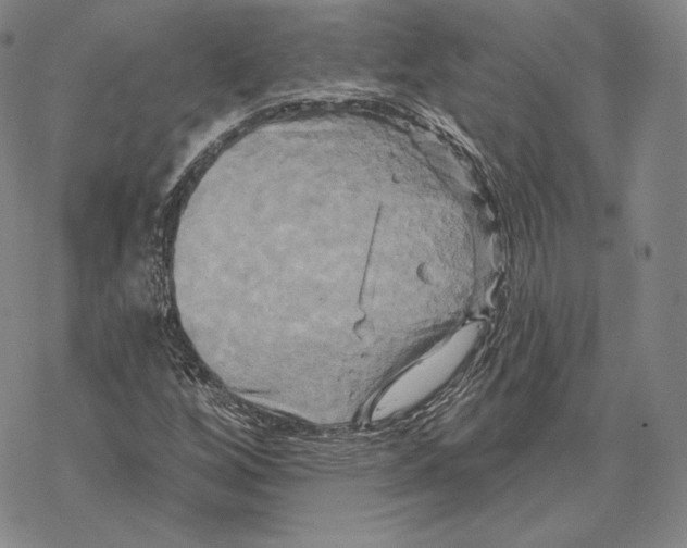 X0000068771256200605191639